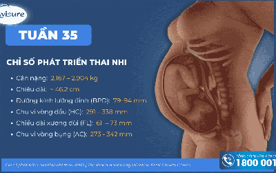 Chỉ số thai nhi 35 tuần như thế nào là đạt chuẩn