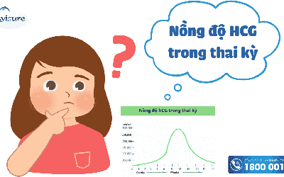 Nồng độ hcg bao nhiêu thì que thử 2 vạch và những thông tin cần biết 