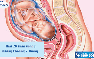 Thai 28 tuần được mấy tháng?- Những đặc điểm của thai 28 tuần mẹ bầu nên biết