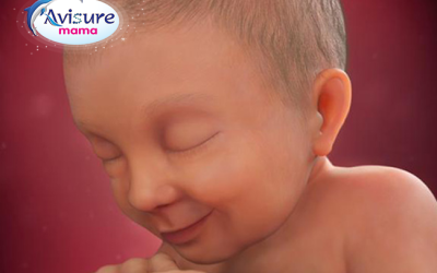 Thai nhi 38 tuần – Sự phát triển của bé, thay đổi ở cơ thể người mẹ và những lời khuyên cần thiết