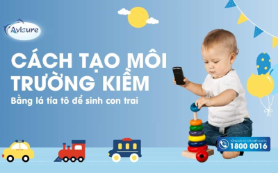 Cách tạo môi trường kiềm bằng lá tía tô để sinh con trai