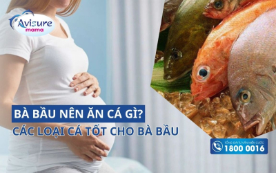 Bà bầu nên ăn cá gì để con thông minh, đủ chất cả thai kỳ?