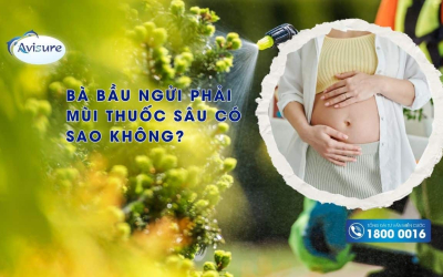 Bà bầu ngửi phải mùi thuốc sâu có sao không? Cảnh báo nguy hiểm cho mẹ