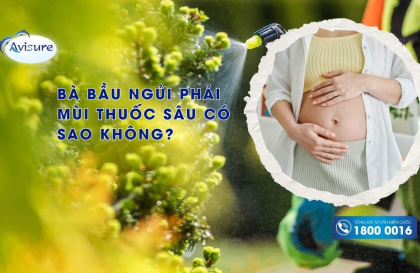 Bà bầu ngửi phải mùi thuốc sâu có sao không? Cảnh báo nguy hiểm cho mẹ