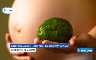 Bầu 3 tháng đầu uống sinh tố bơ được không?