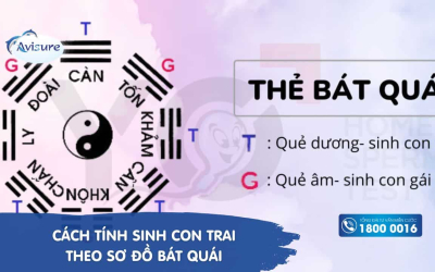 Cách tính sinh con trai theo sơ đồ Bát Quái chính xác nhất