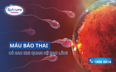 Máu báo thai có sau khi quan hệ bao lâu? Dấu hiệu nhận biết cho mẹ