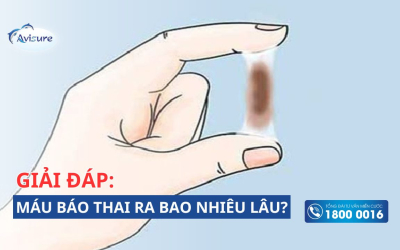 Giải đáp: Máu báo thai ra bao nhiêu lâu và bao nhiêu ngày? 