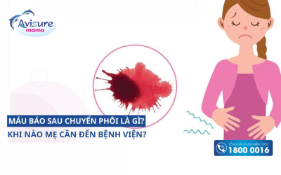 Máu báo thai sau chuyển phôi là gì? Khi nào cần đến bệnh viện?