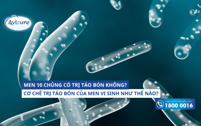 Men 10 chủng có trị táo bón không? Cơ chế như thế nào?