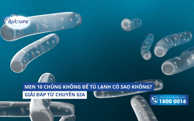 Men 10 chủng không để tủ lạnh có sao không? Giải đáp chuyên gia