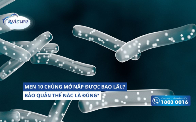 Men 10 chủng mở nắp được bao lâu? Bảo quản thế nào là đúng?