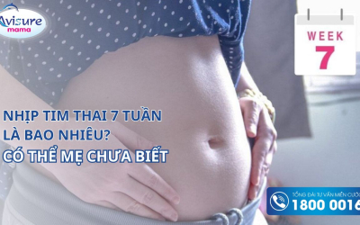 Nhịp tim thai 7 tuần là bao nhiêu? Có thể mẹ chưa biết
