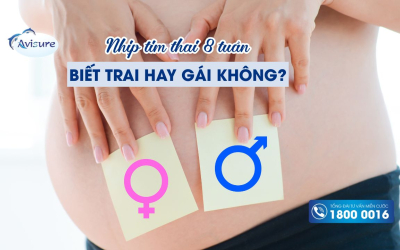 Nhịp tim thai 8 tuần biết trai hay gái không? Dự đoán giới tính qua nhịp tim