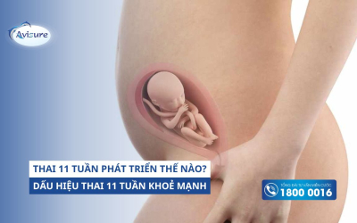 Sự phát triển của thai 11 tuần thế nào? Dấu hiệu thai 11 tuần khoẻ mạnh