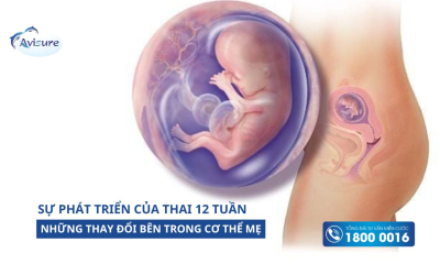 Thai 12 tuần phát triển thế nào? Sự thay đổi diệu kỳ của cơ thể mẹ