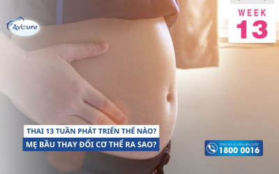 Thai 13 tuần phát triển thế nào? Mẹ bầu thay đổi cơ thể ra sao?