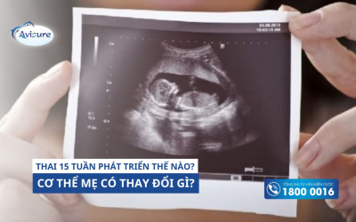 Thai 15 tuần phát triển thế nào? Cơ thể mẹ có thay đổi gì?