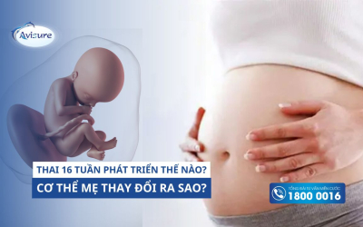 Thai 16 tuần phát triển thế nào? Cơ thể mẹ thay đổi những gì khi mang bầu?