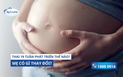 Thai nhi 19 tuần tuổi phát triển như thế nào? Những thay đổi ở cơ thể mẹ