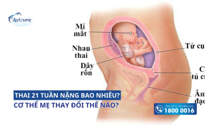 Thai 21 tuần nặng bao nhiêu? Cơ thể mẹ thay đổi thế nào?