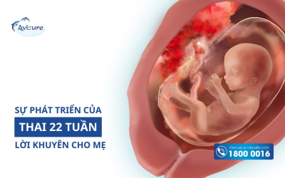 Sự phát triển của thai 22 tuần và lời khuyên cho mẹ bầu