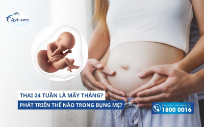 Thai 24 tuần là mấy tháng? Phát triển thế nào trong bụng mẹ?