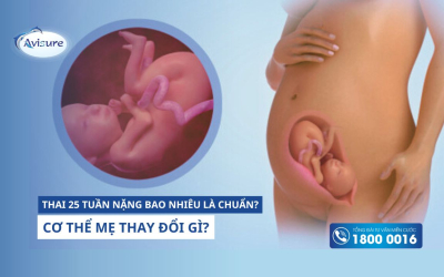 Thai 25 tuần nặng bao nhiêu là chuẩn? Cơ thể mẹ thay đổi gì?