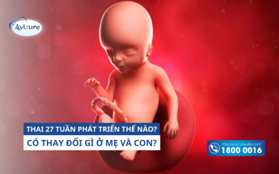 Thai 27 tuần phát triển thế nào? Có thay đổi gì ở mẹ và con