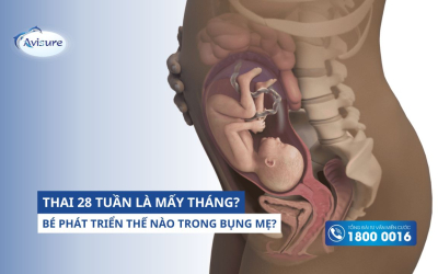 Thai 28 tuần là mấy tháng? Bé phát triển thế nào trong bụng mẹ?