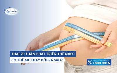 Thai 29 tuần phát triển thế nào? Cơ thể mẹ thay đổi ra sao?