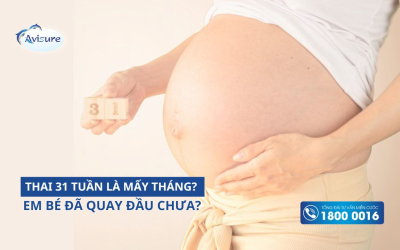 Thai 31 tuần 5 ngày là mấy tháng? Đã quay đầu chưa? Mẹ khám phá ngay