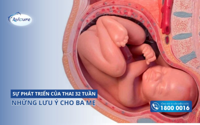 Sự phát triển của thai 32 tuần và những lưu ý cho ba mẹ