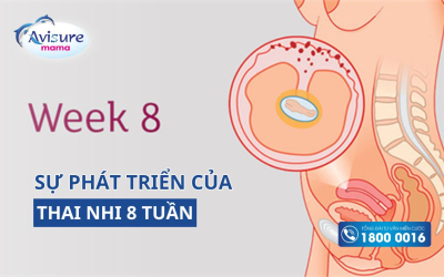 Sự phát triển của thai 8 tuần tuổi và những thay đổi ở cơ thể mẹ