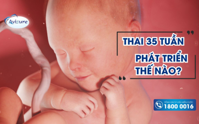 Sự phát triển của thai 35 tuần trong bụng mẹ như thế nào?