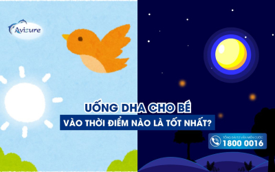 Uống DHA vào thời gian nào trong ngày cho bé là tốt nhất?