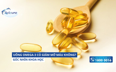 Uống omega-3 có giảm mỡ máu không? Góc nhìn khoa học