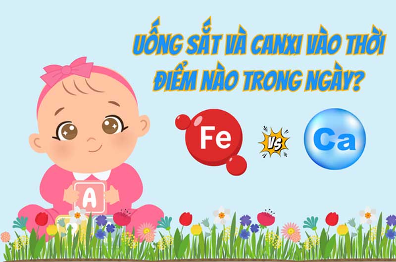 Uống sắt và canxi vào thời điểm nào trong ngày