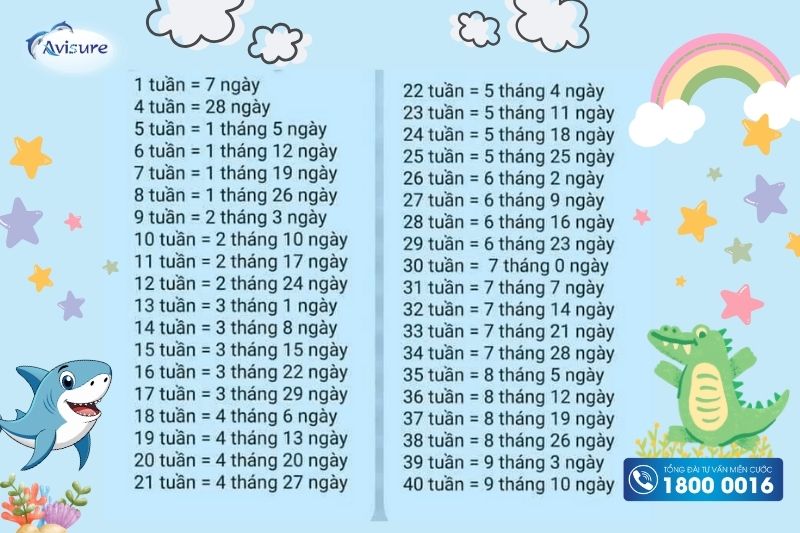 23 tuần là mấy tháng