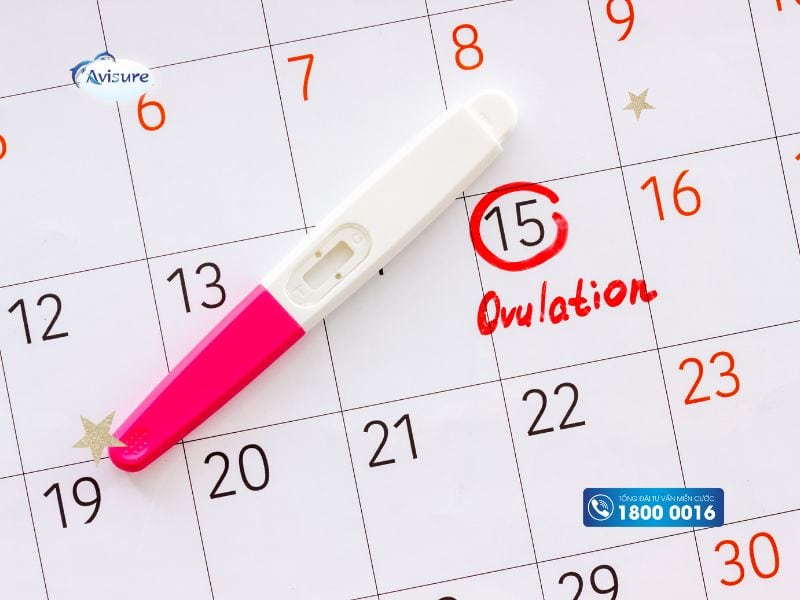 Các cách canh thời điểm rụng trứng để sinh trai gái theo ý muốn