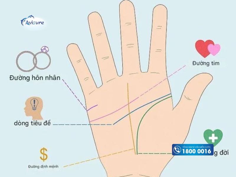 Đường chỉ tay liên quan tới hôn nhân