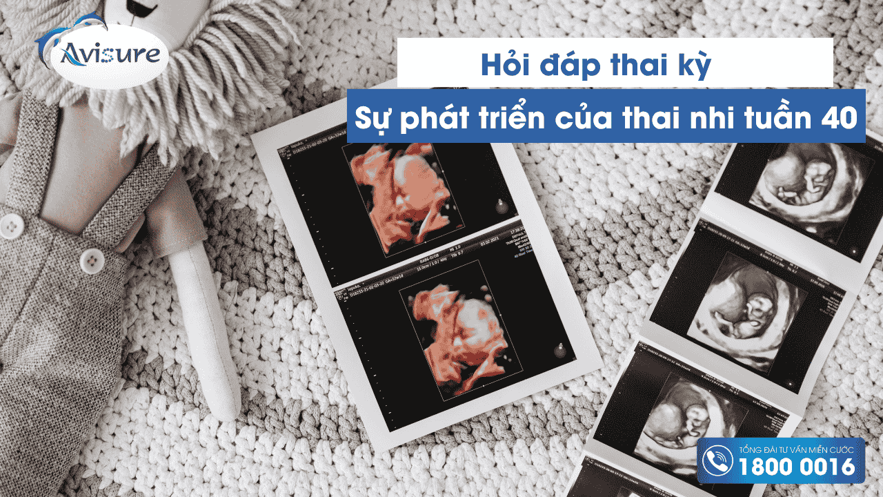 Sự phát triển của thai nhi tuần 40