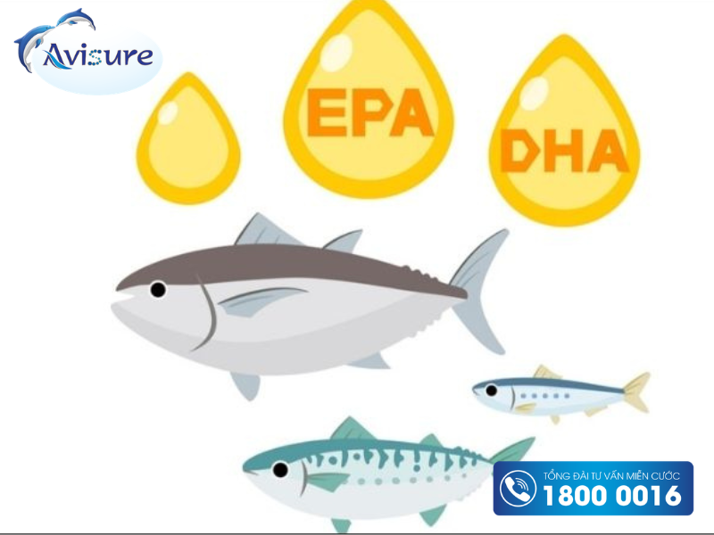 DHA là gì và những khái niệm cơ bản
