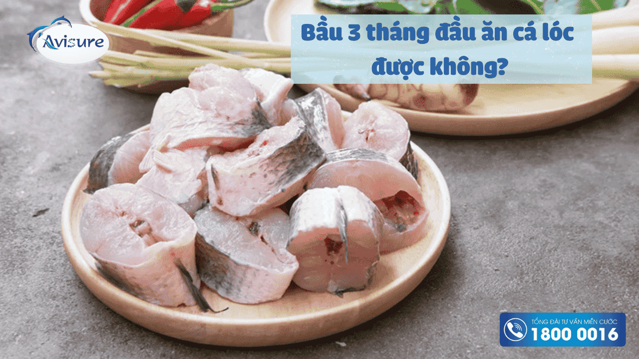 Bầu 3 tháng đầu ăn cá lóc an thai tốt cho sức khoẻ