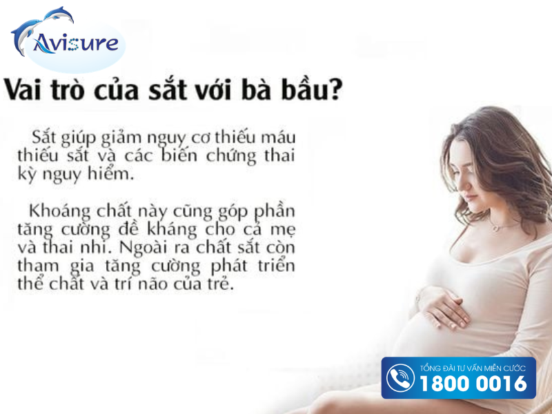Những lý do mẹ bầu cần bổ sung sắt trong thai kỳ