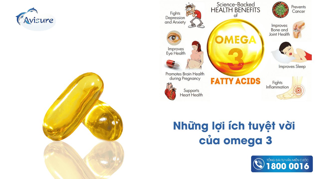 Những lợi ích của Omega 3 đối với sức khoẻ 