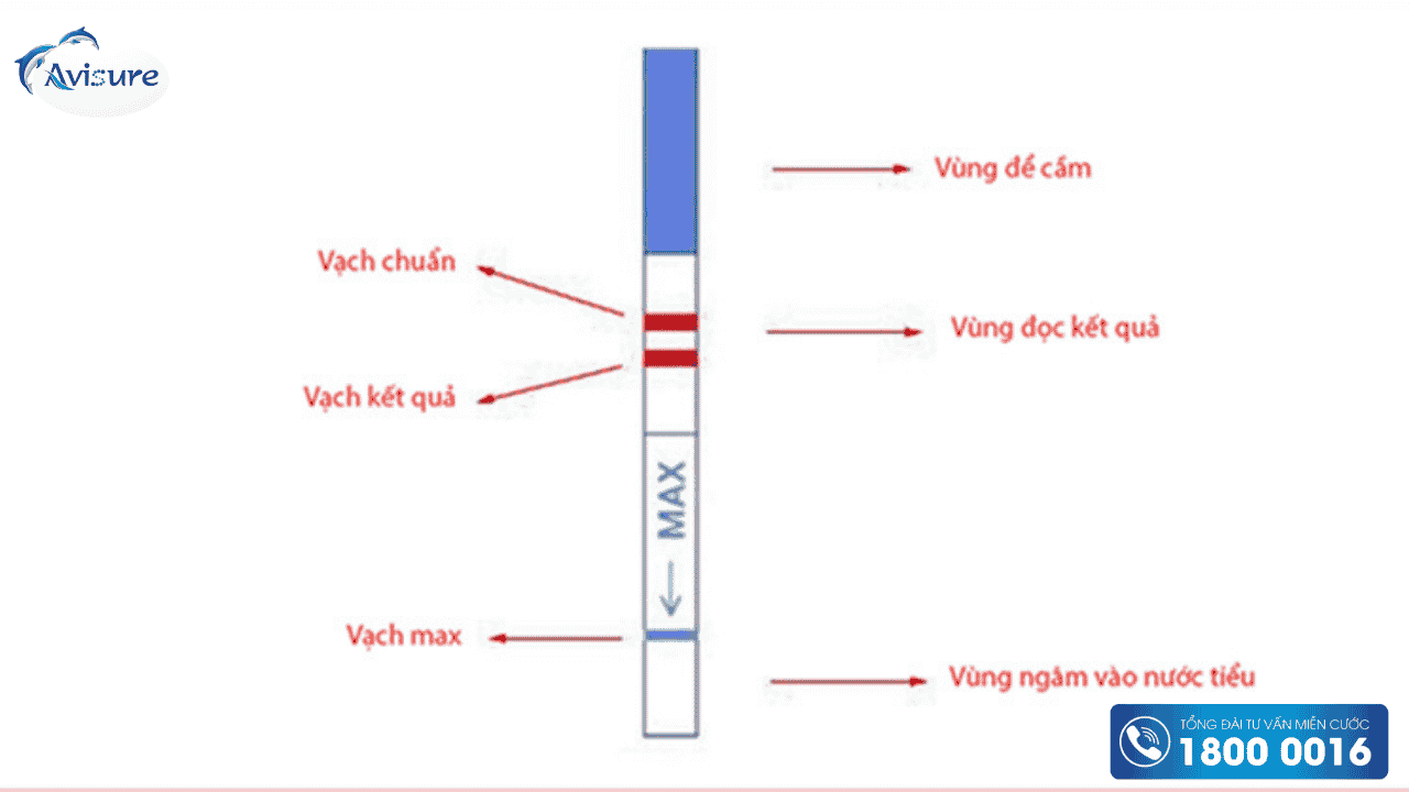 Hướng dẫn cách sử dụng que thử thai chuẩn