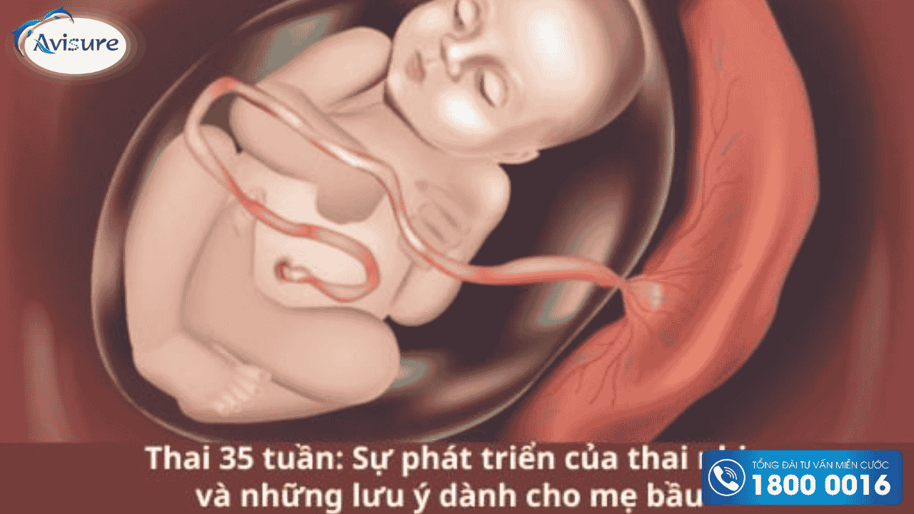 Bầu bé trai thường sẽ có chỉ số cân nặng trộm vía hơn bé gái