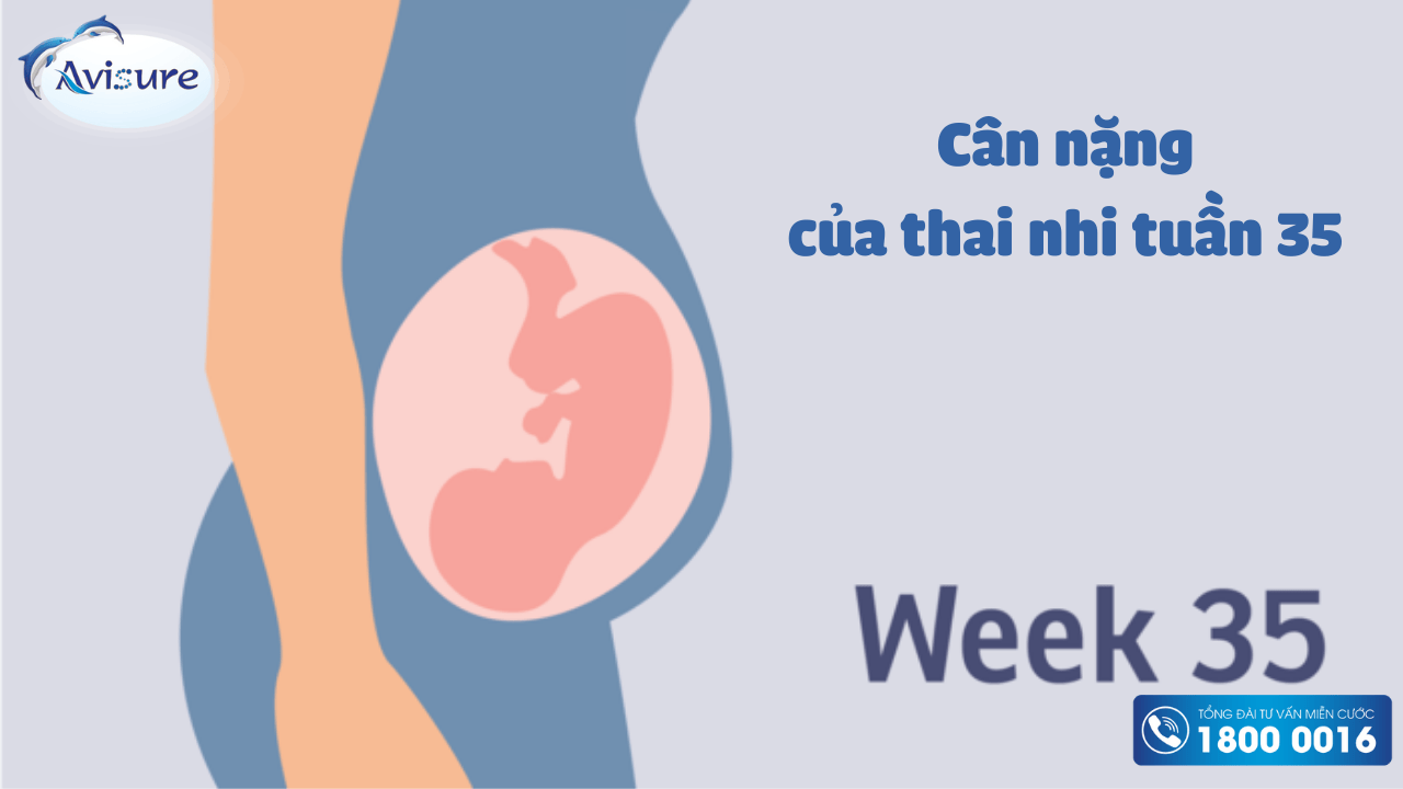 Cân nặng thai nhi tuần 35 bao nhiêu là chuẩn