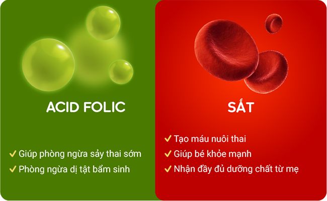 Sắt axit folic trước khi mang thai